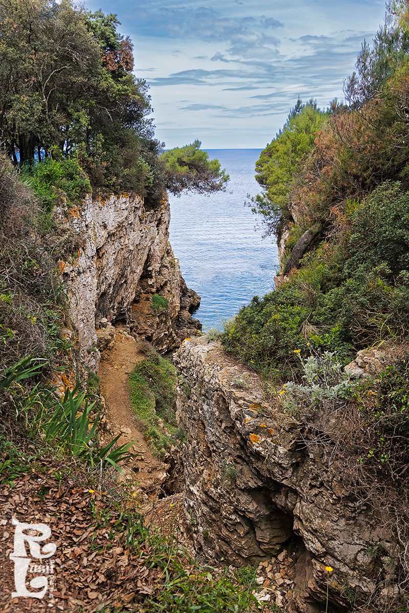Gorge