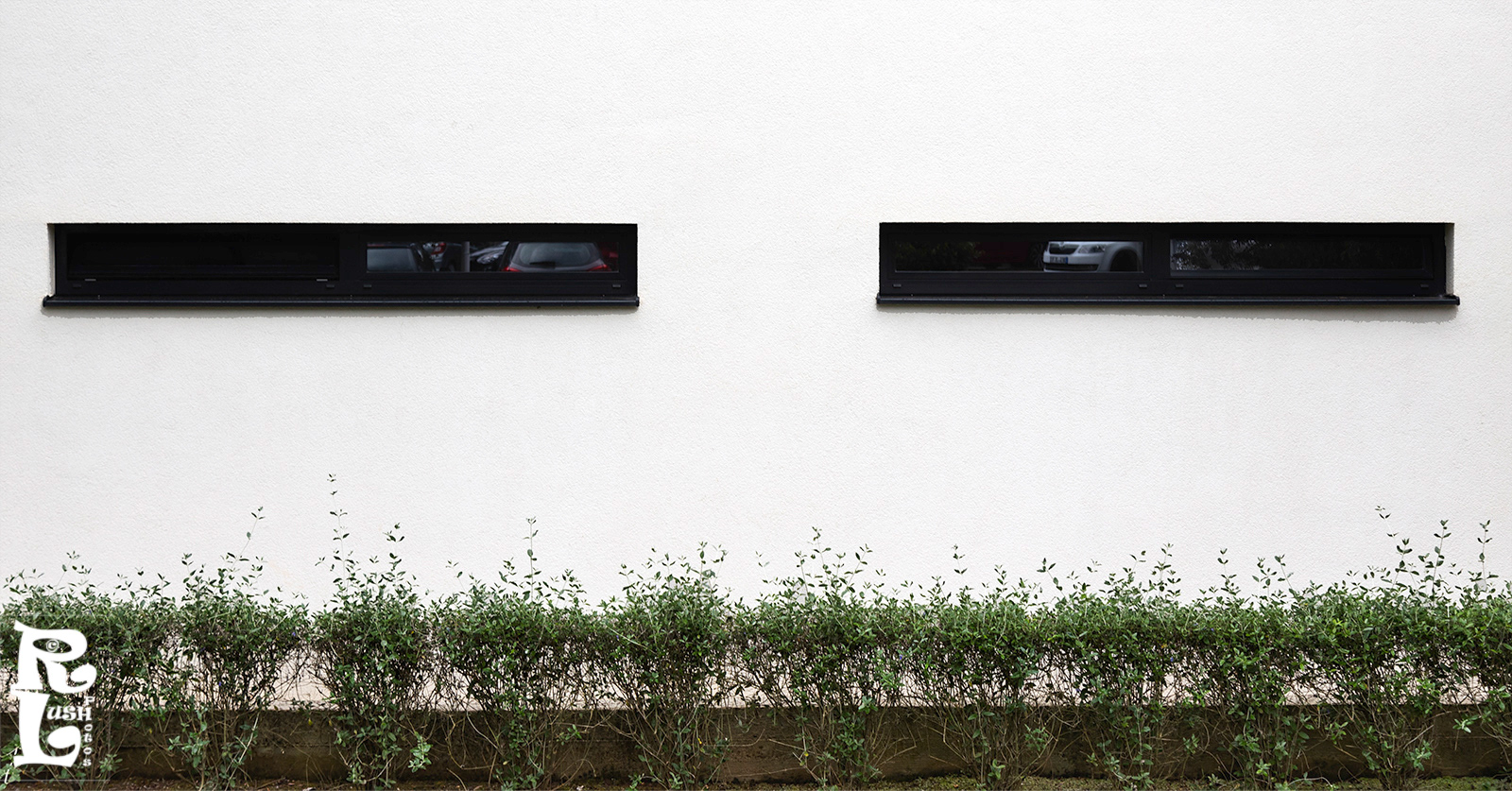 Two Windows
