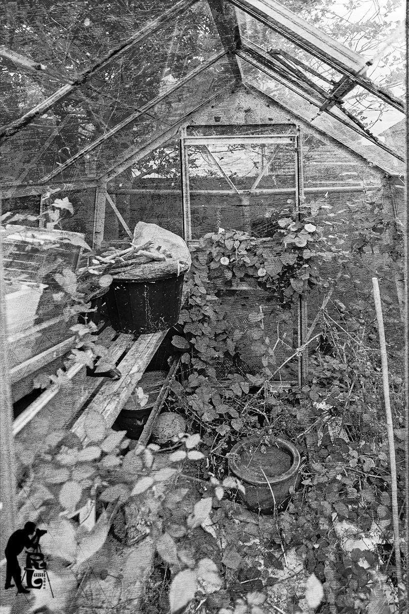 Disused Greenhouse 2 2