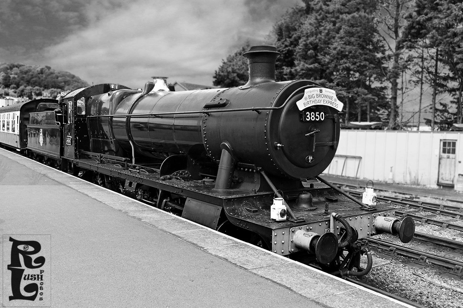 The Big Brownie Express