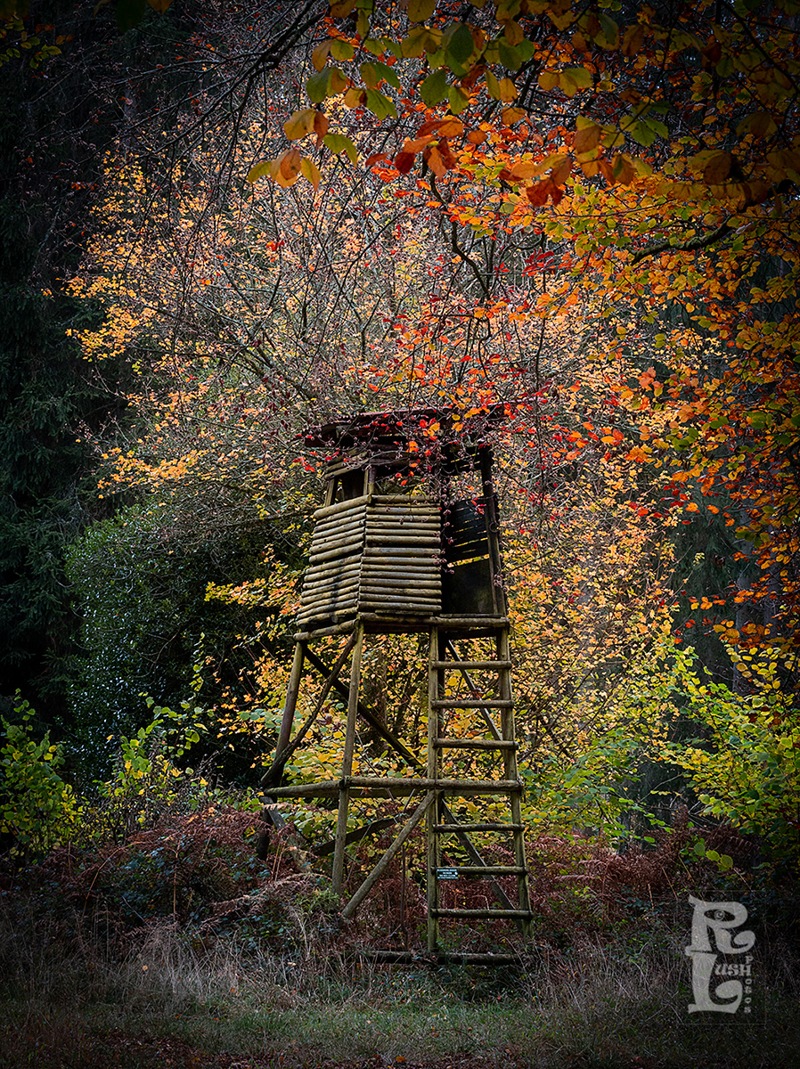 Firewatchers Tower
