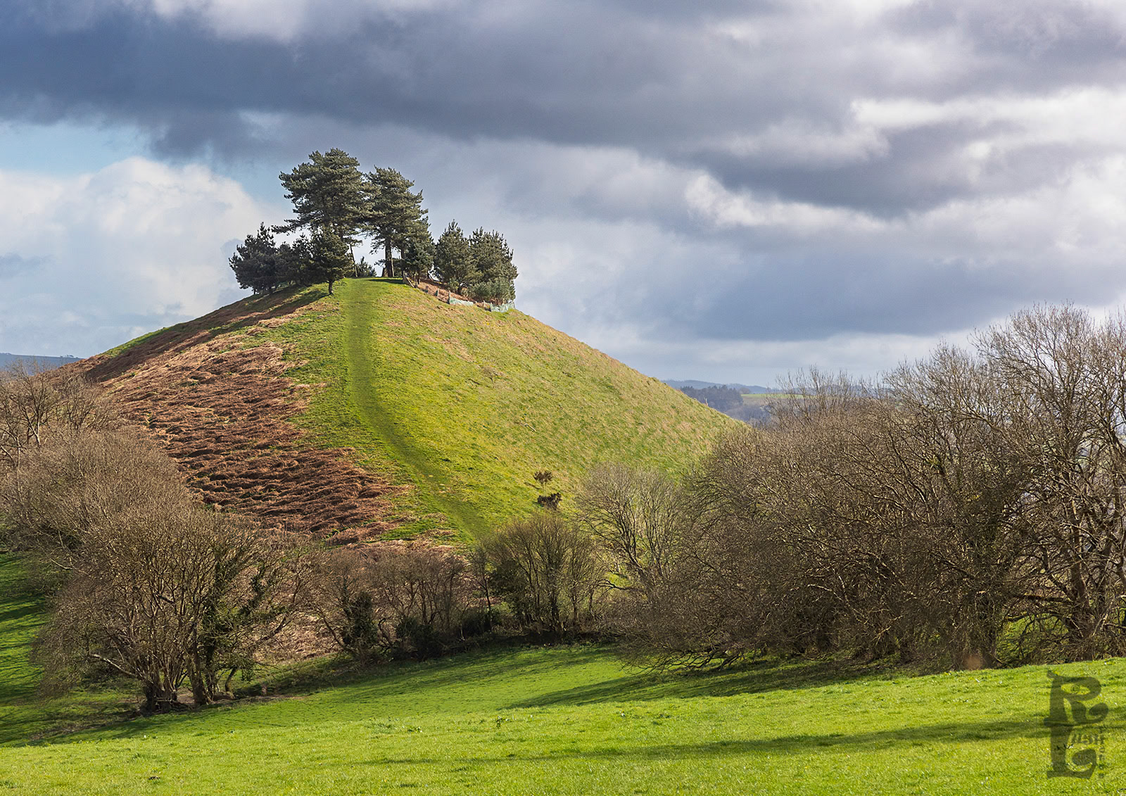 Colmer's Hill