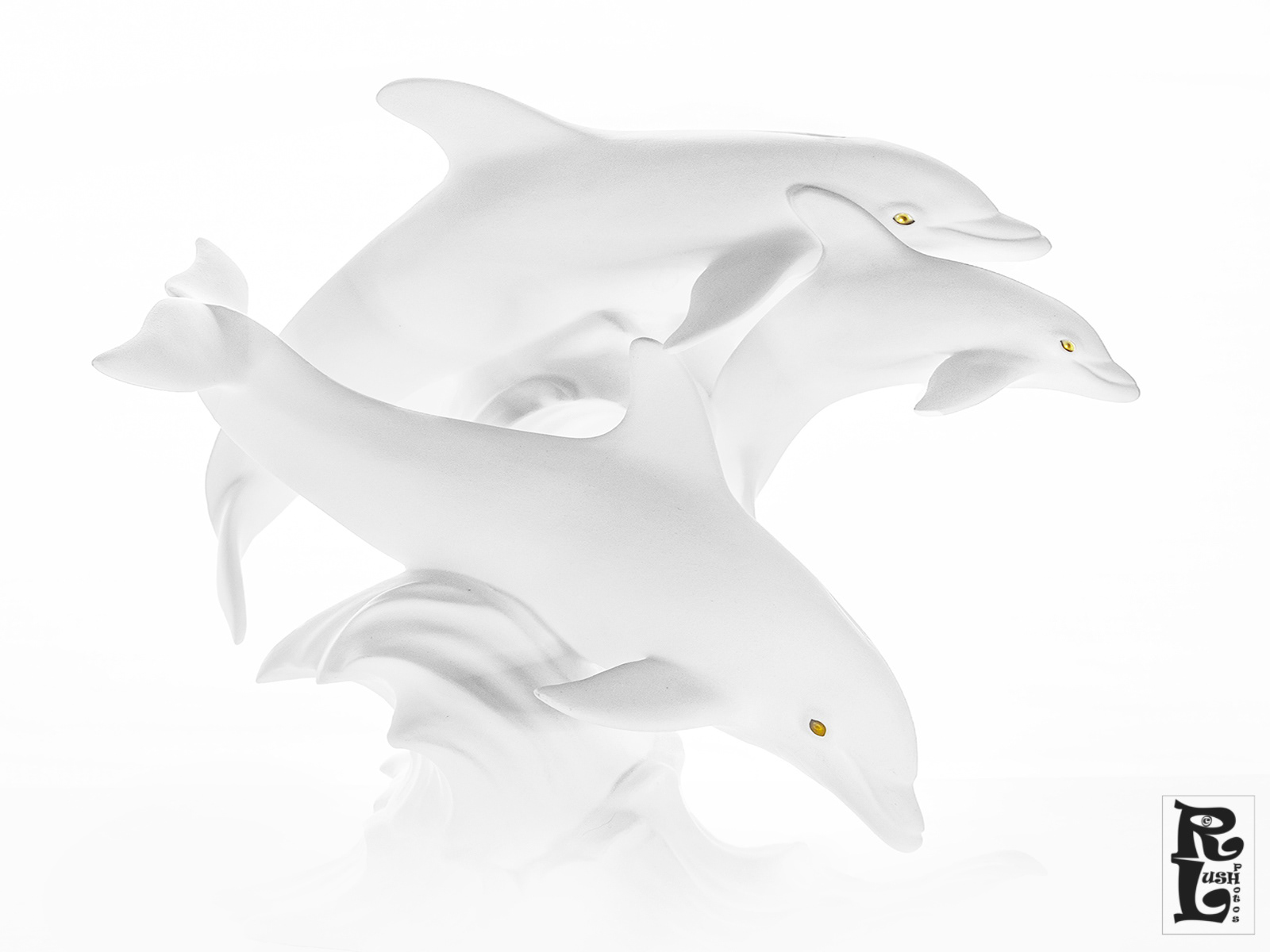 Dolphins White on White