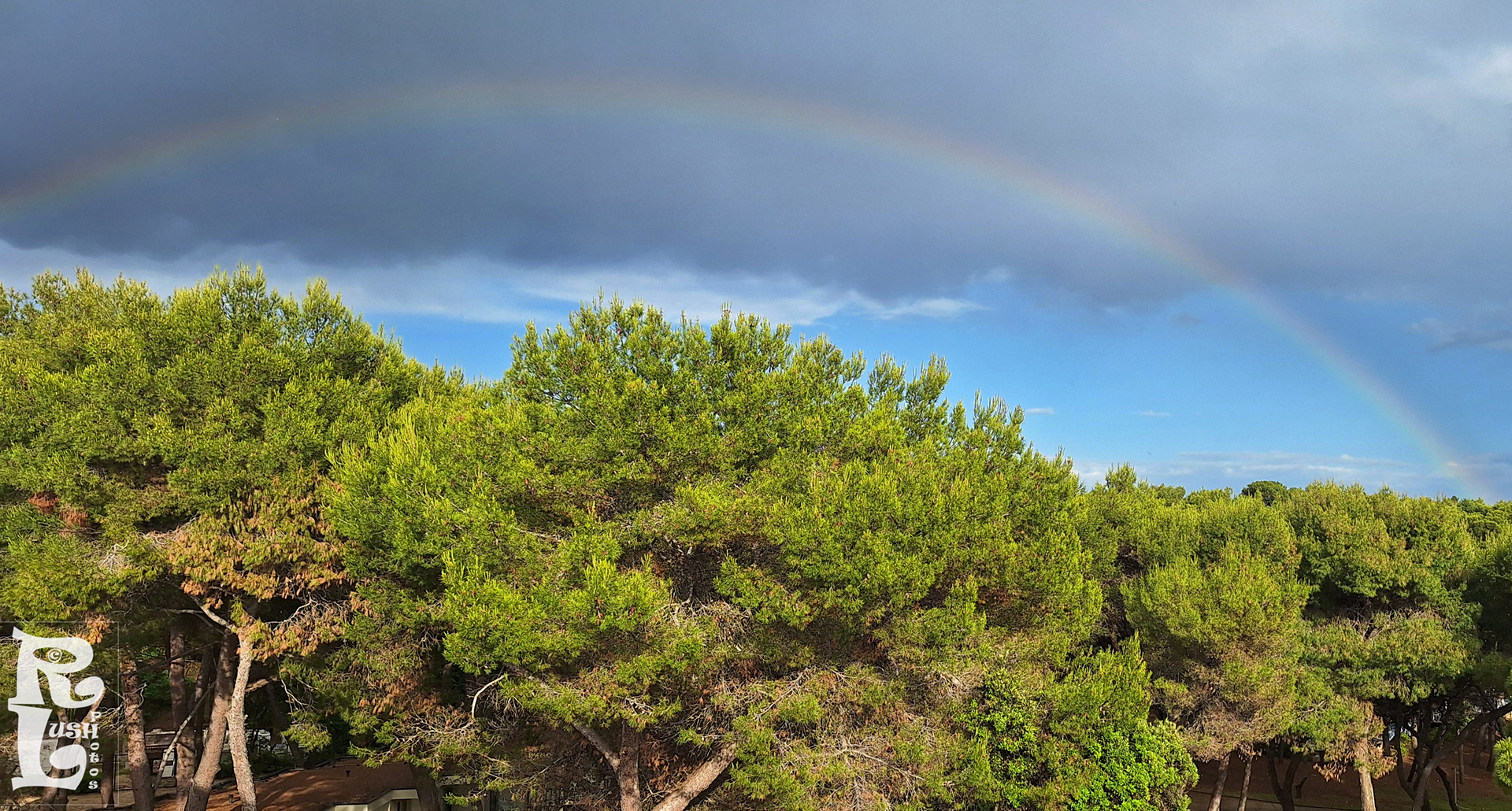 Rainbow