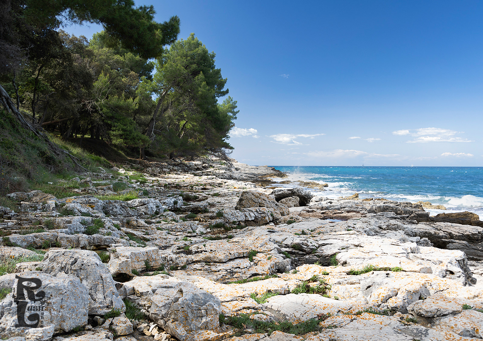 Shoreline (1)