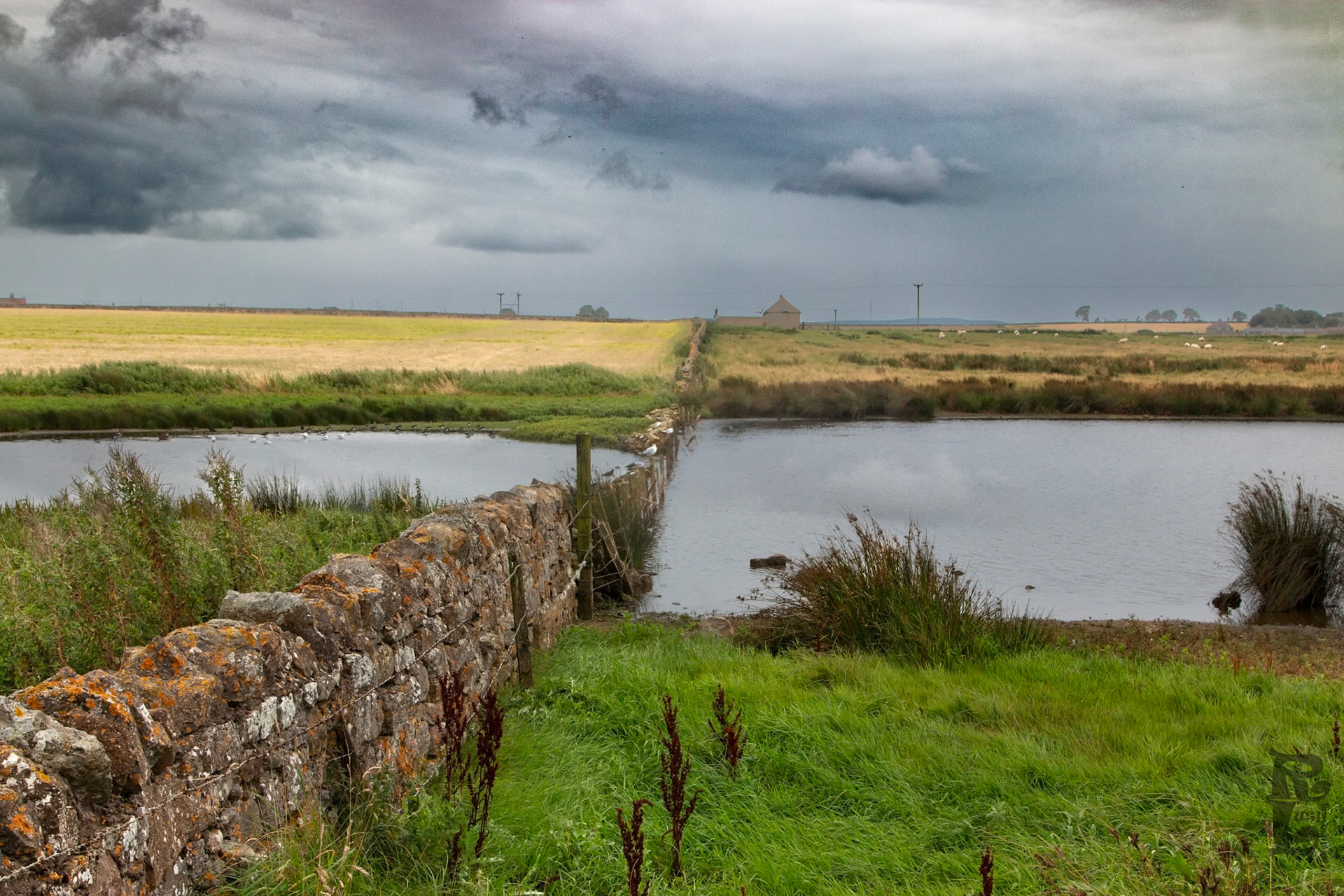 Northumbrian landscape