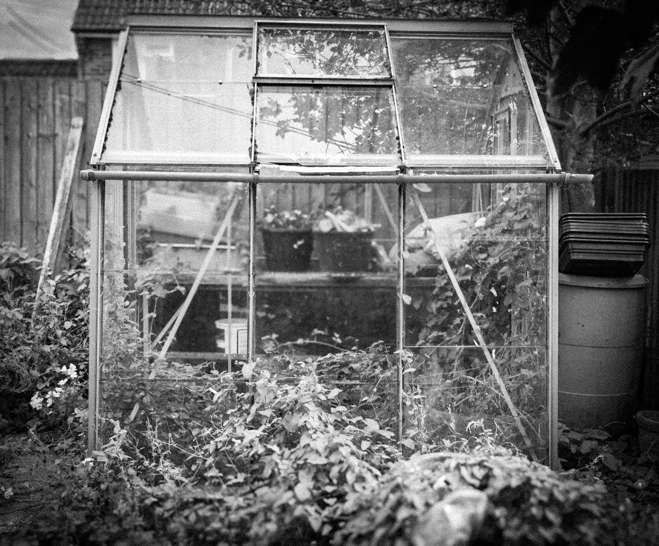 Disused Greenhouse