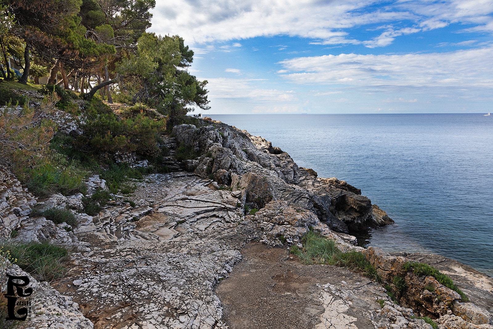 Shoreline (3)