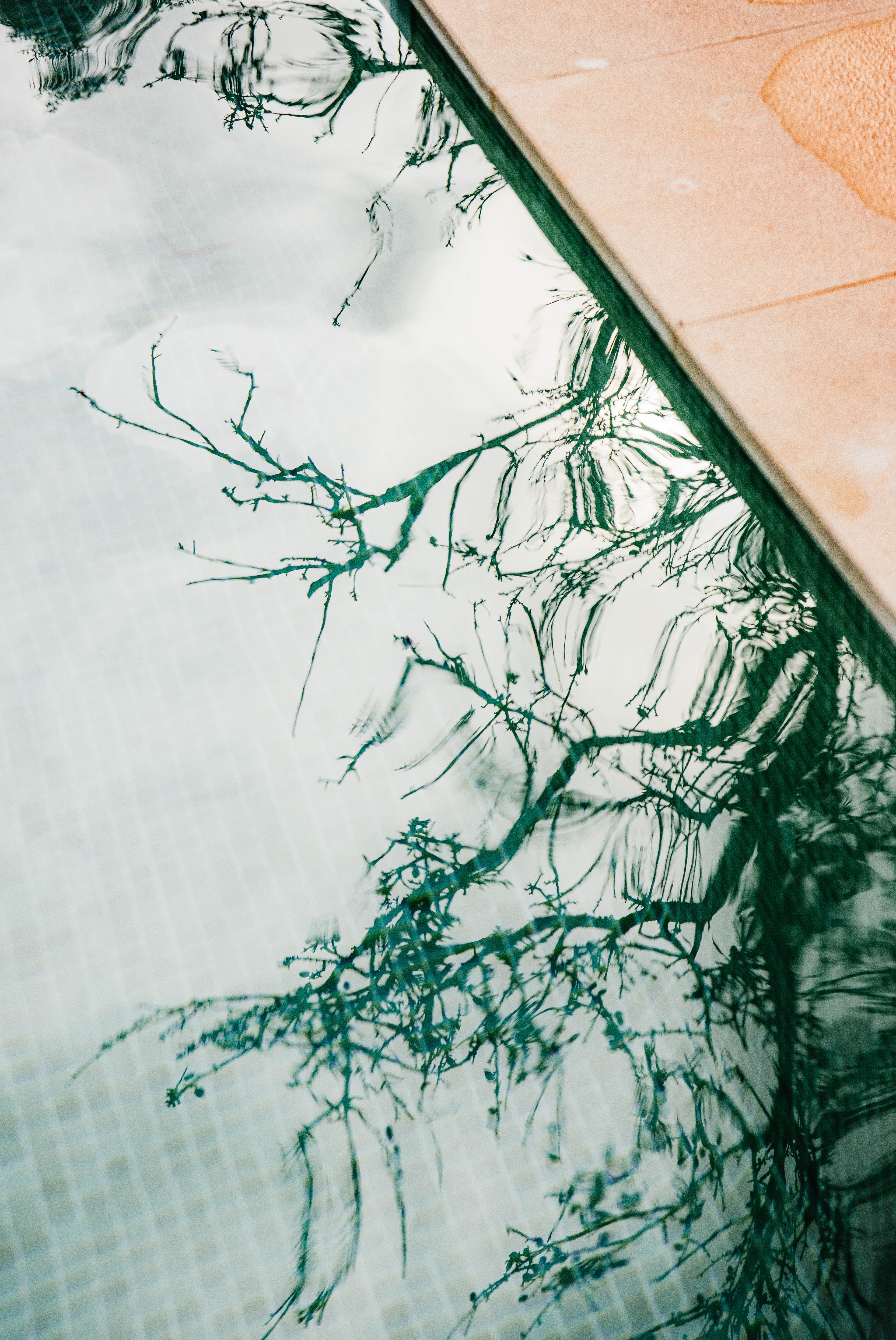 Credits to the artist @