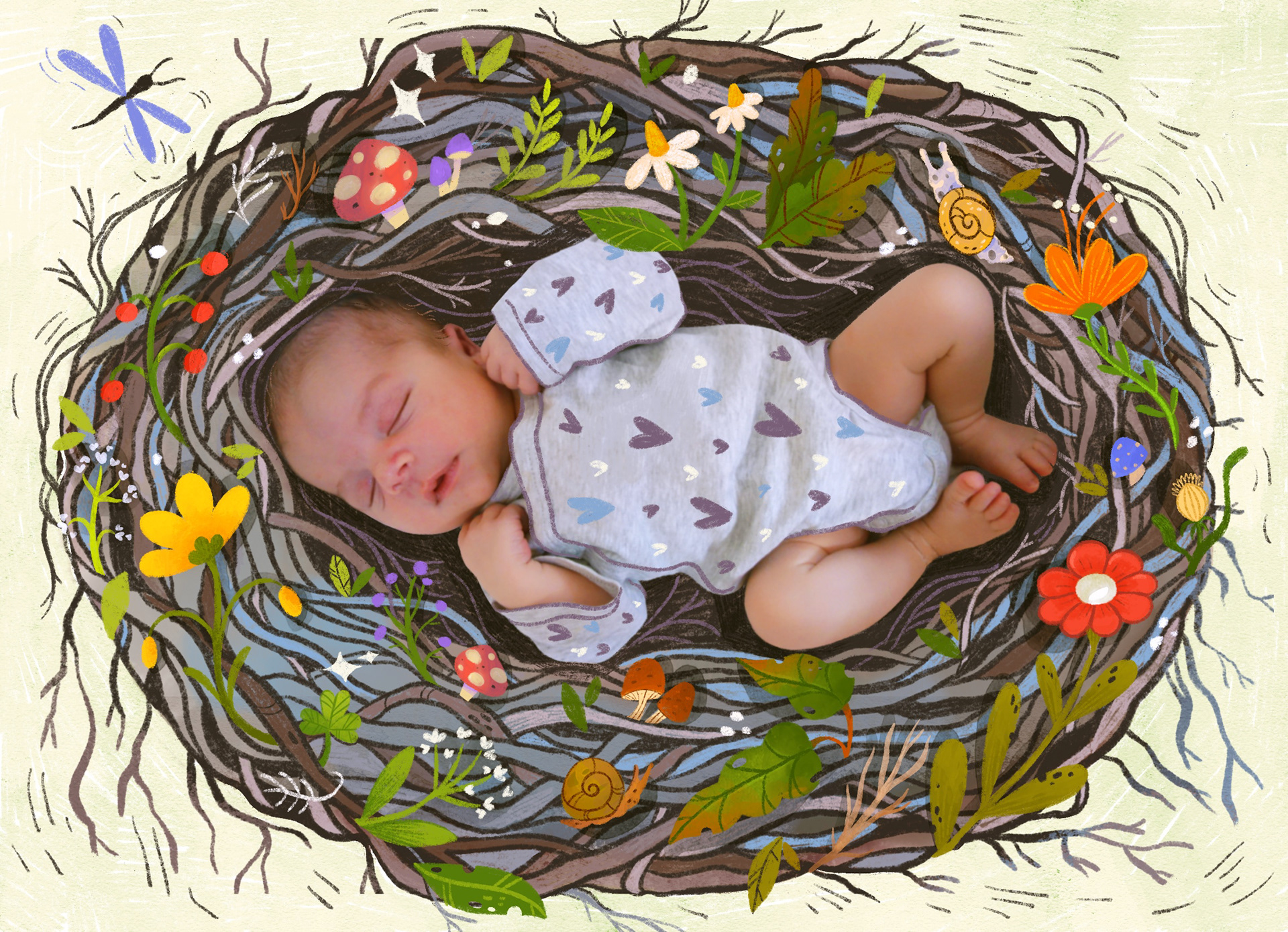 Birth Announcement Noam