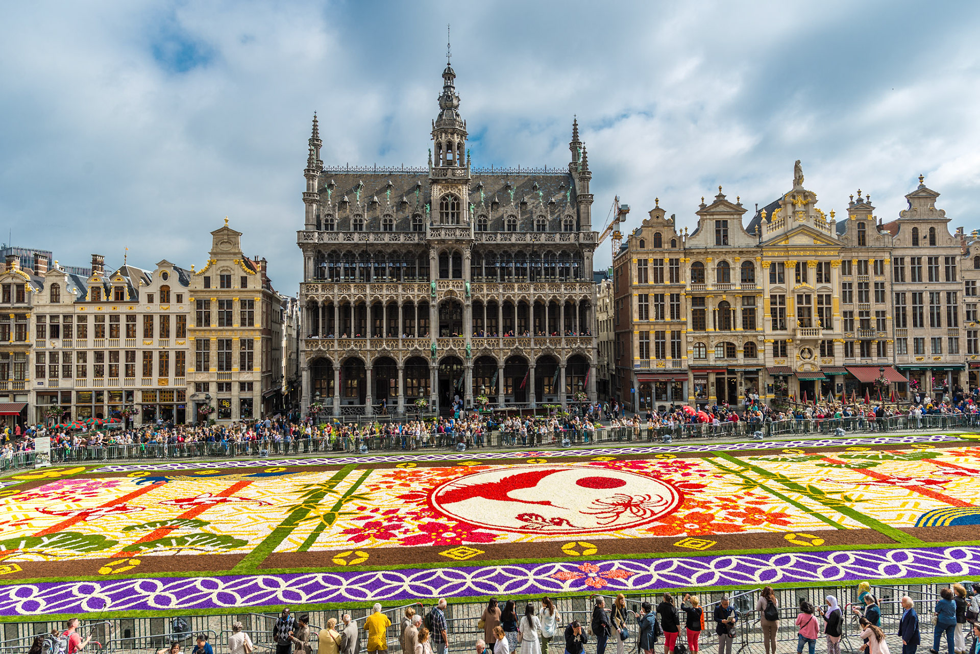 BRUSSELS - AUGUST 2016 : Floral Carpet in Grand Place on August 13, 2016 in Brussels. This event takes place every 2 years; in 2016, the design was chosen to celebrate the 20ᵗʰ Flower Carpet.