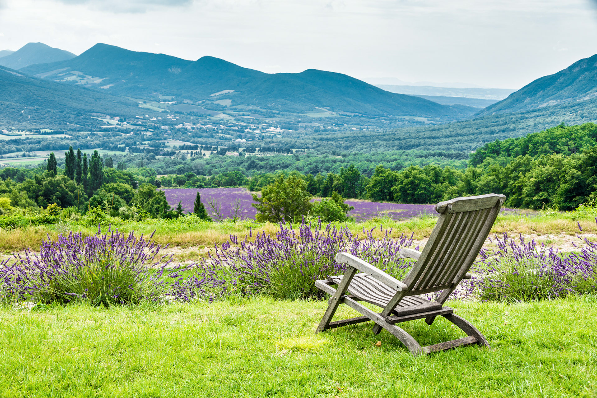 Relaxing chair facing the lavender fields in a cloudy day
