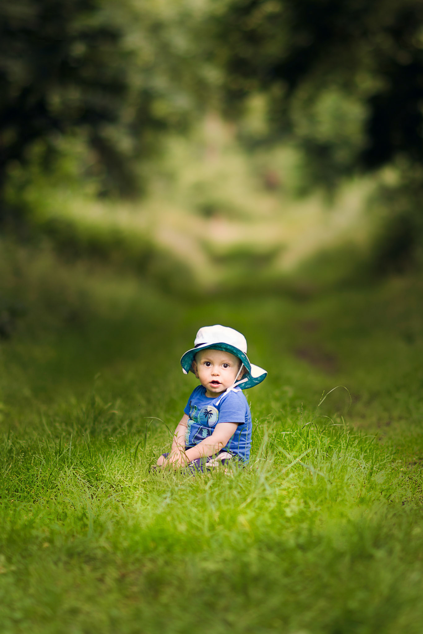 Growing up in the forest