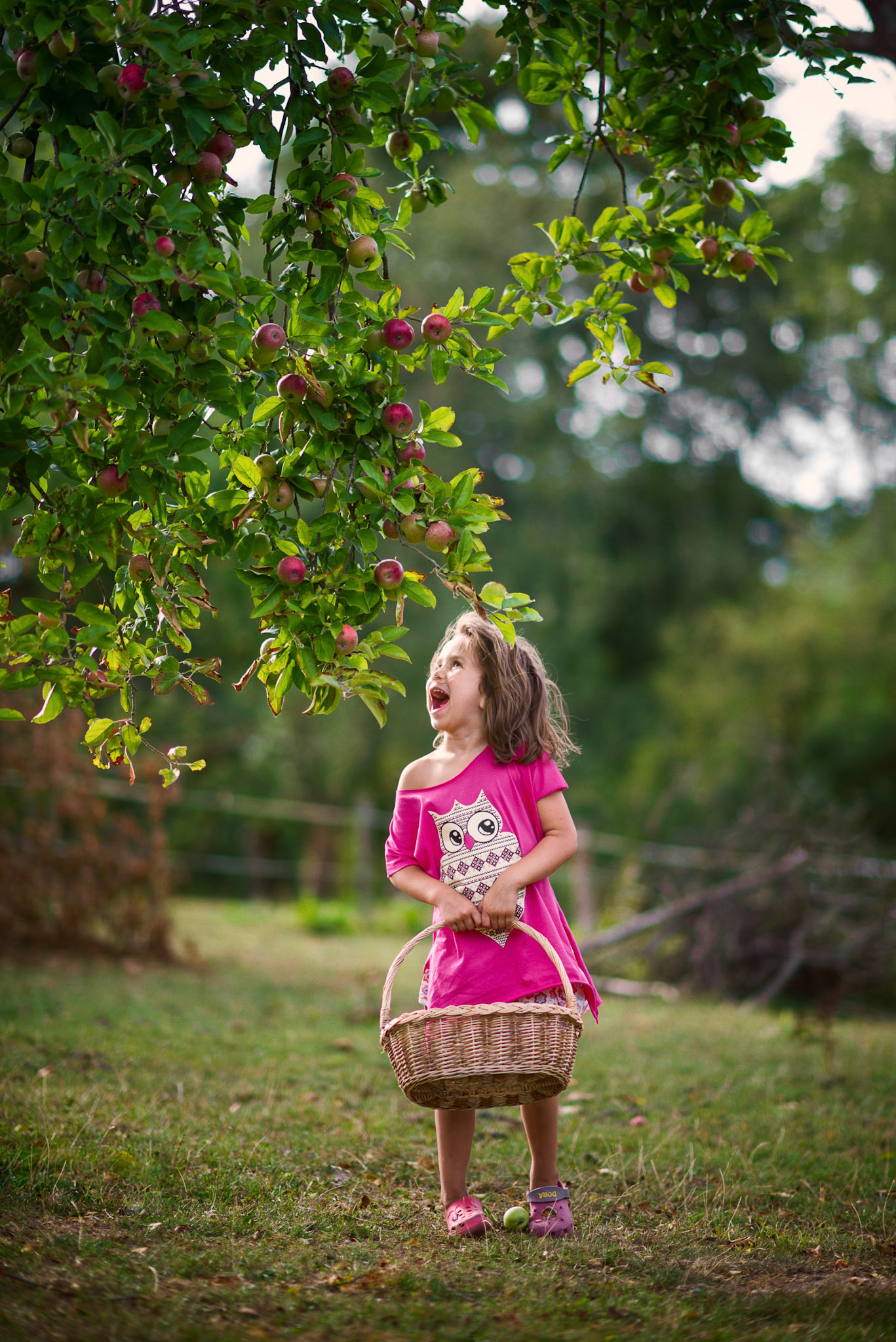 The joy of apple harvest in autumn