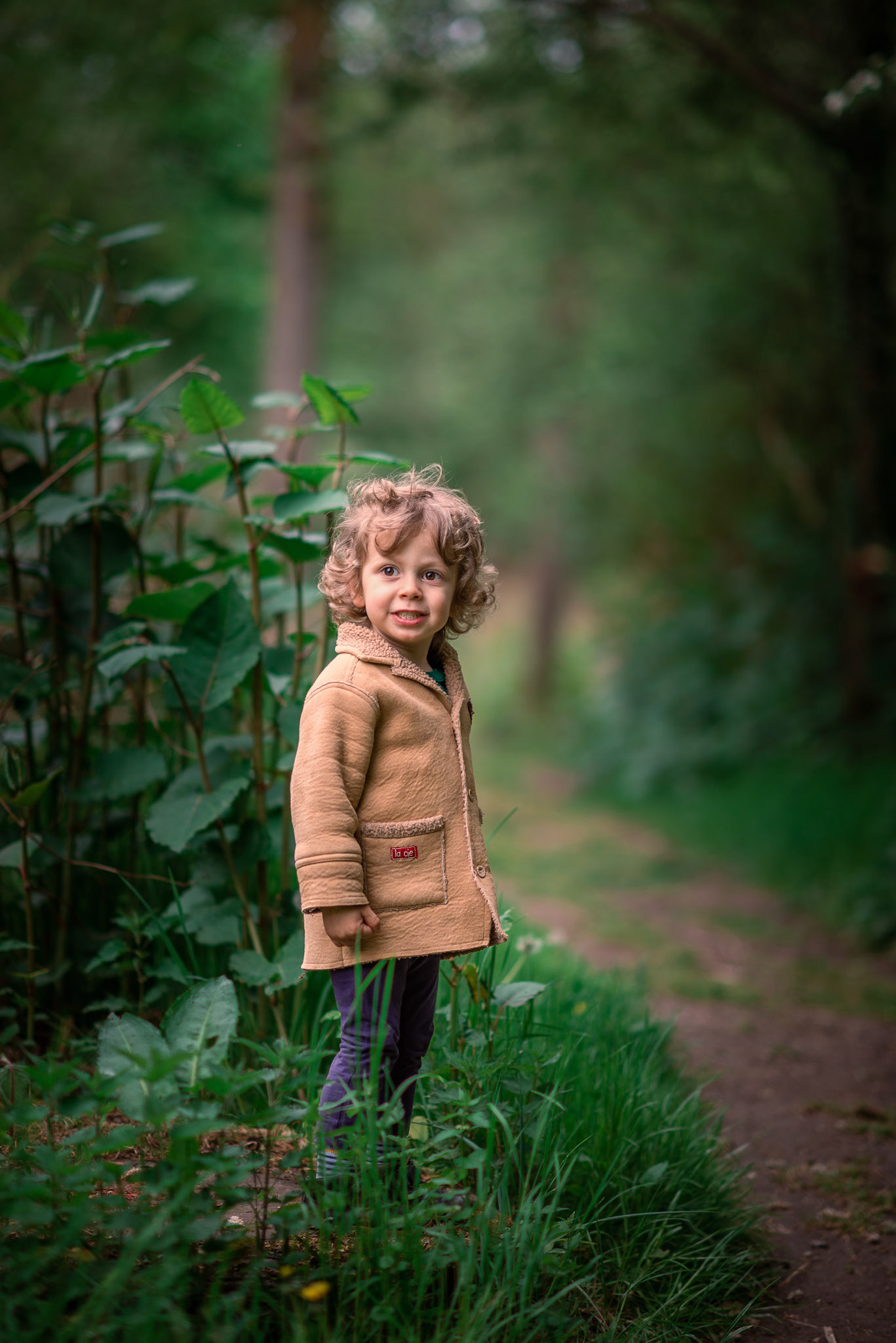 Walking in the wood to find new paths is a favorite activity