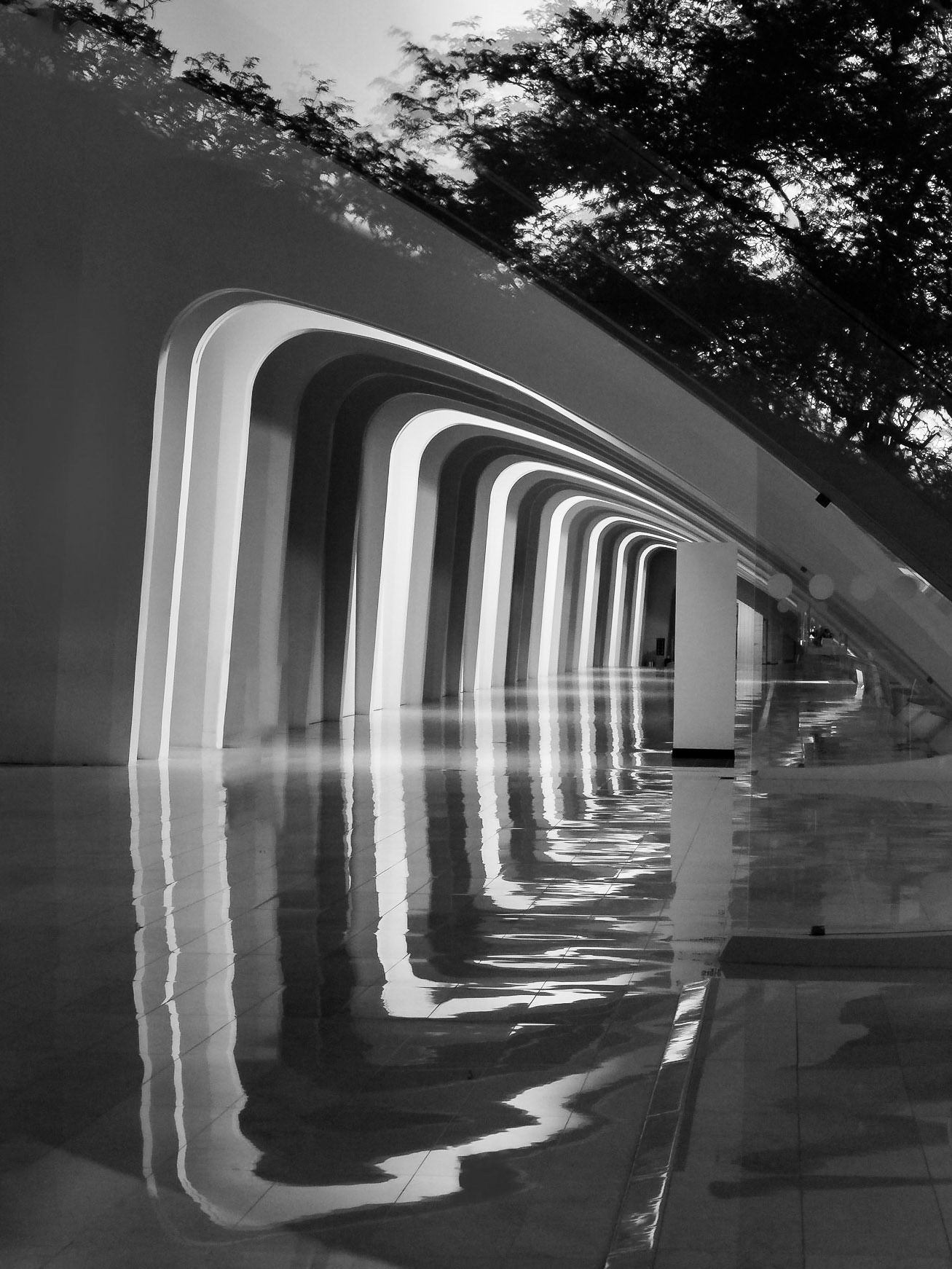 Morning at the Museum
