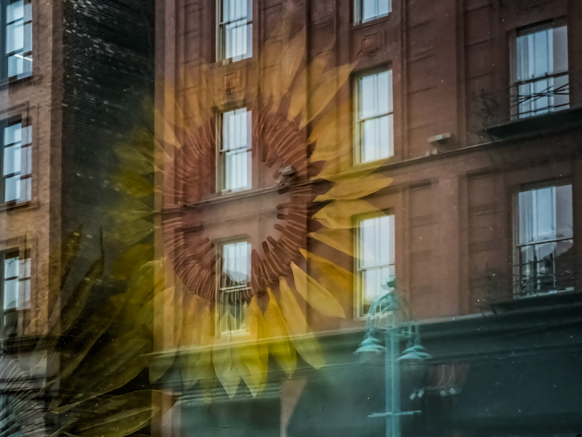 Sunny Single Exposure