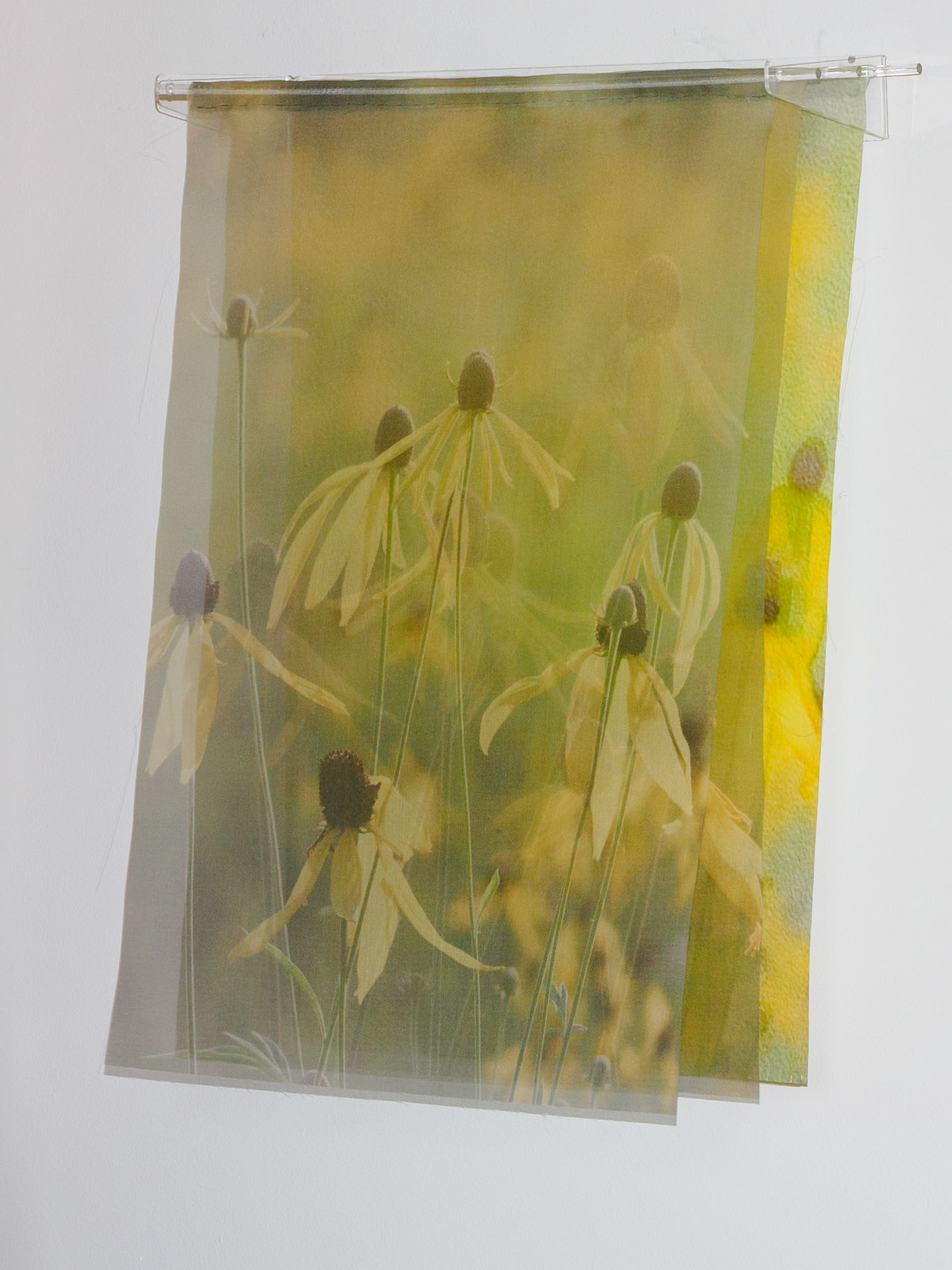 Morning on the Prairie