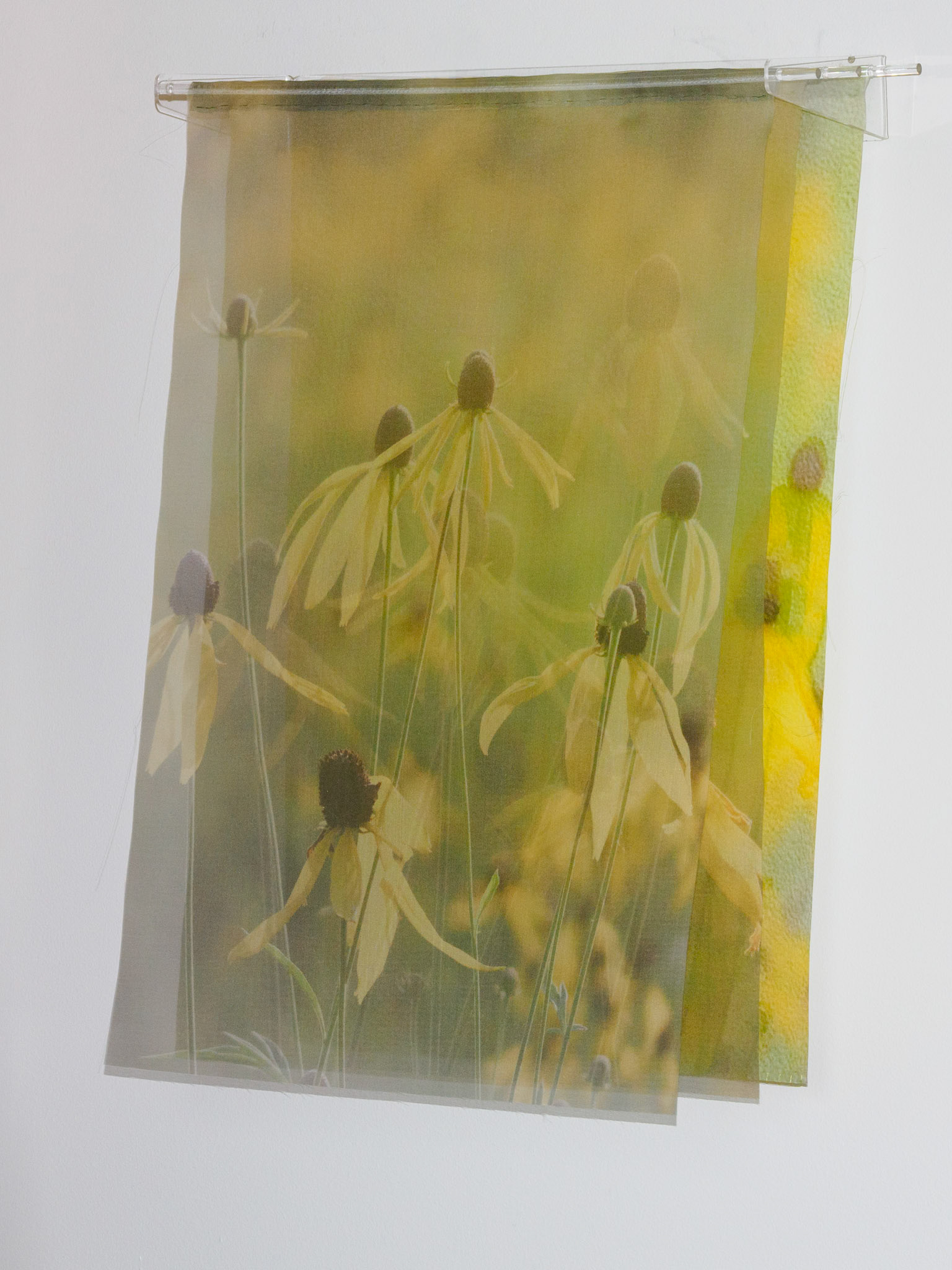 Morning on the Prairie