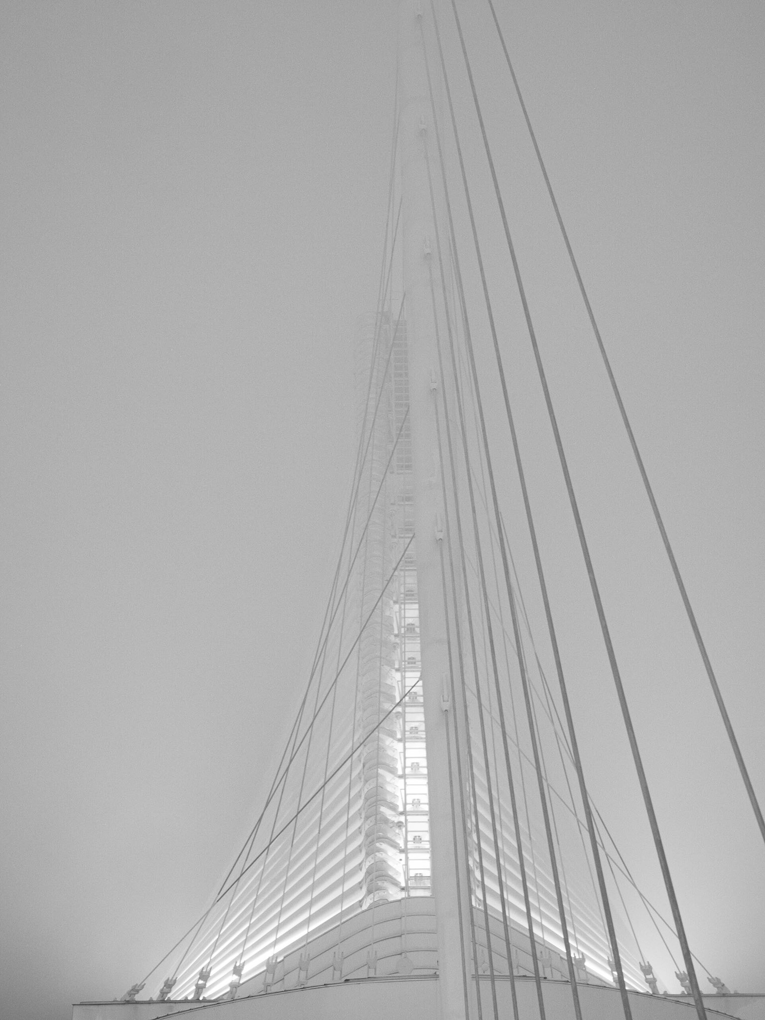 Out of the fog