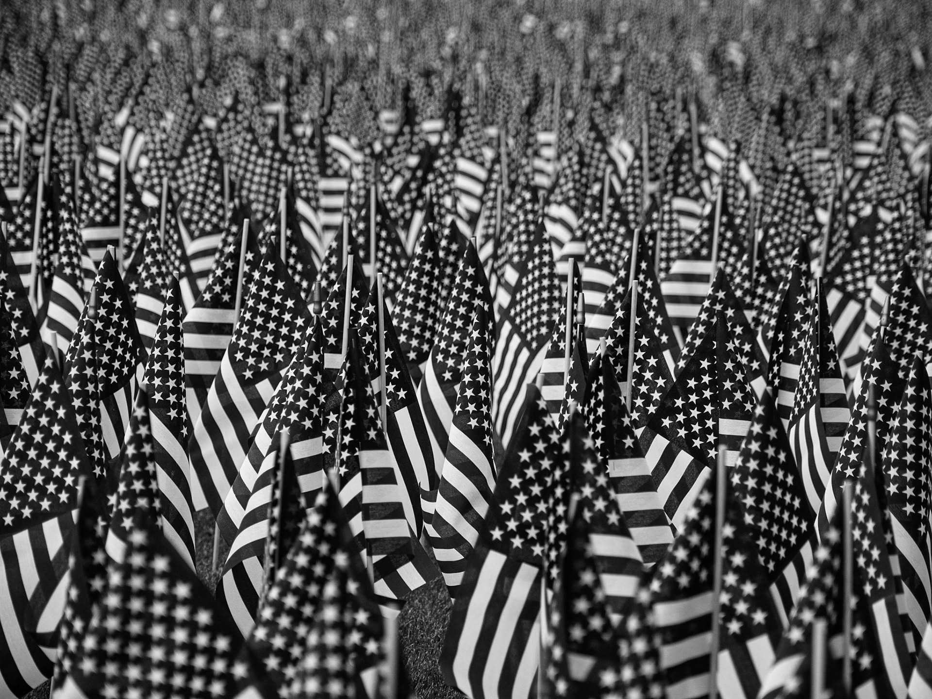 Field of flags