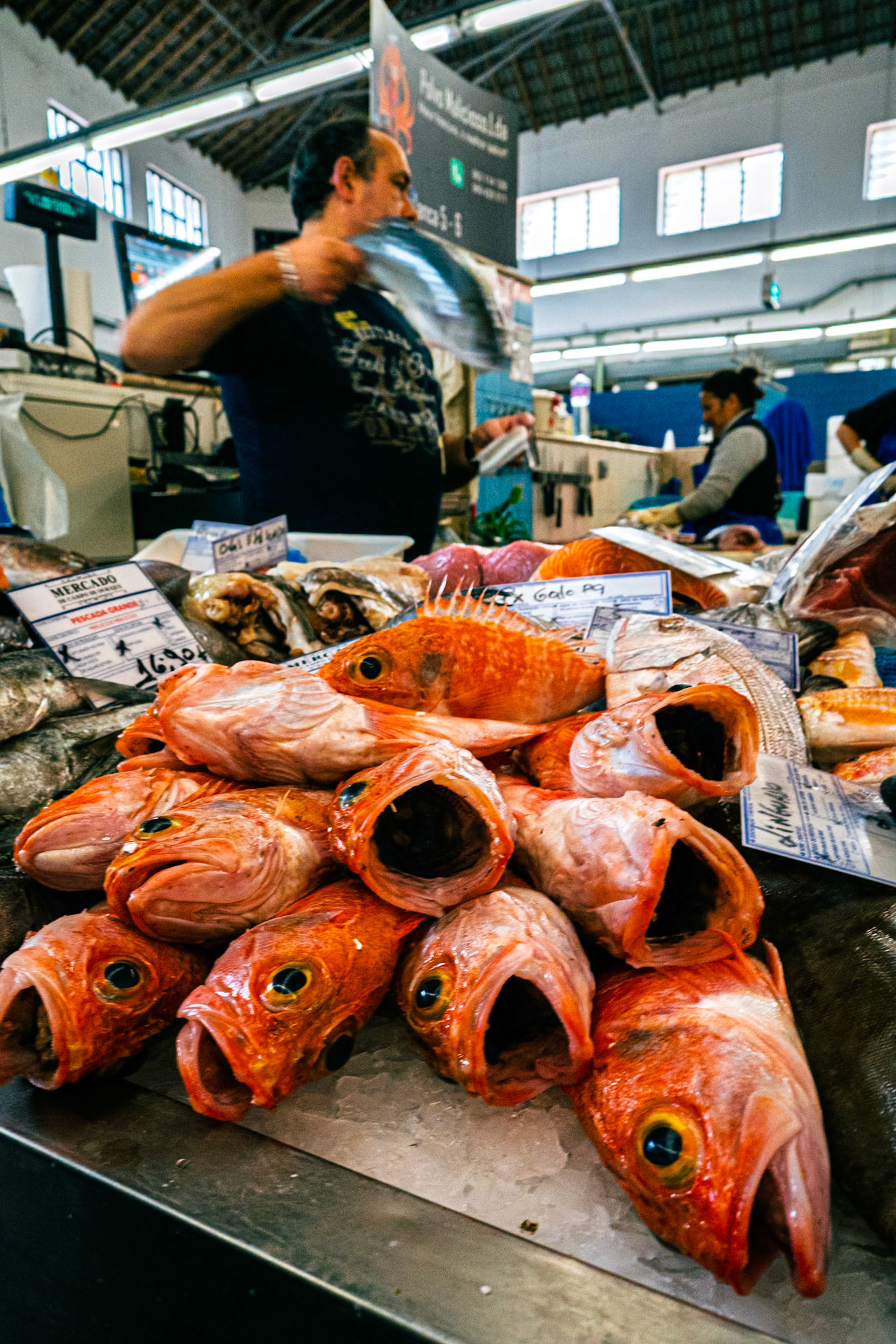 Mercado de Campo de Ourique, Lisbon