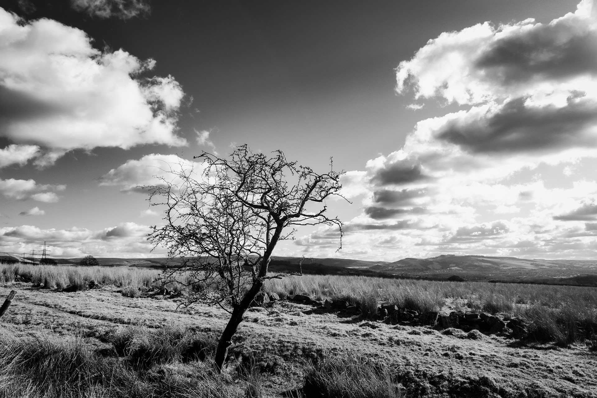 Arnfield Moor