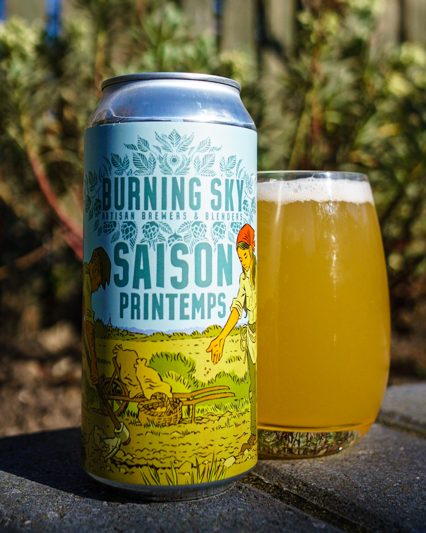 BA DH Saison // 4.2%