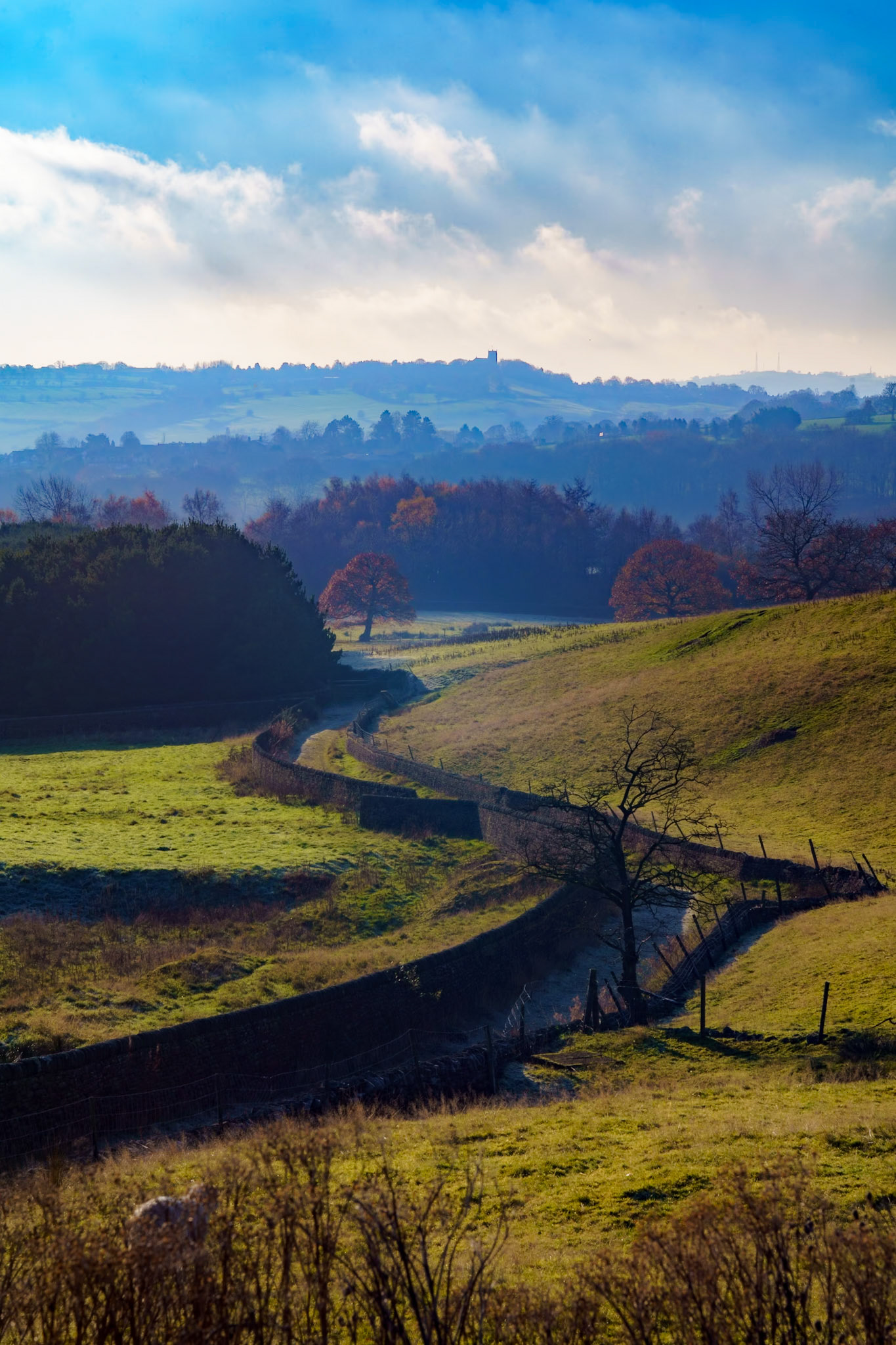 From Arnfield Farm across Swallows Wood to Mottram church tower on the horizon.