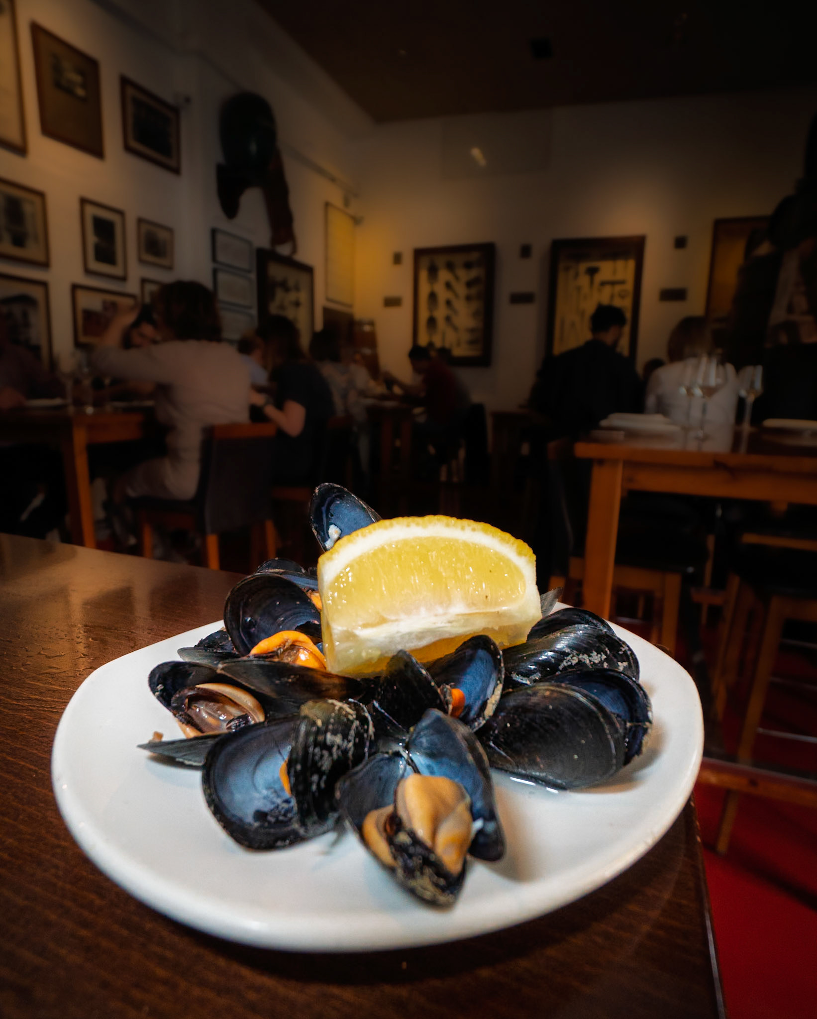 Casa Montaña, Valencia