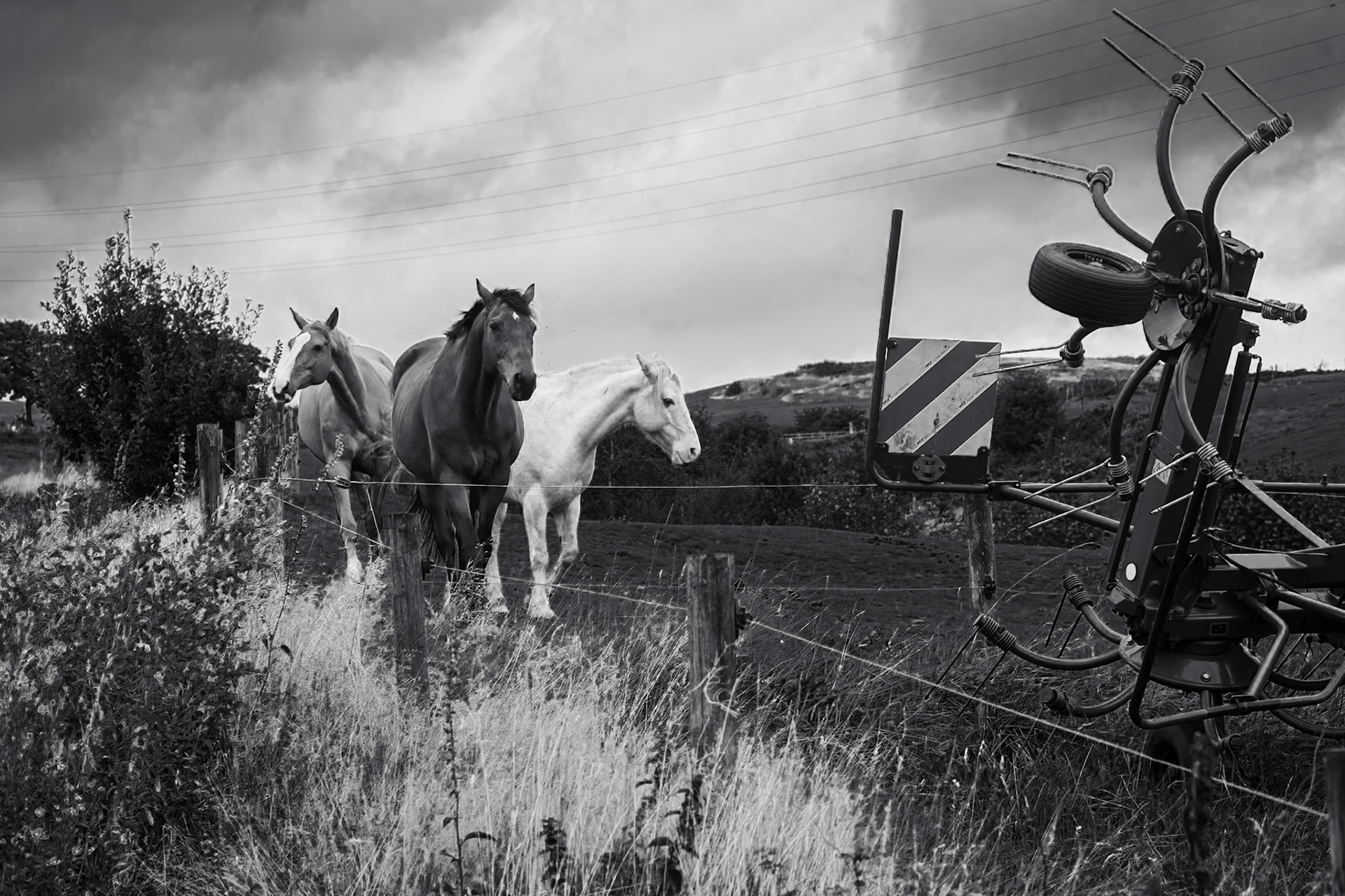 Lumb Farm