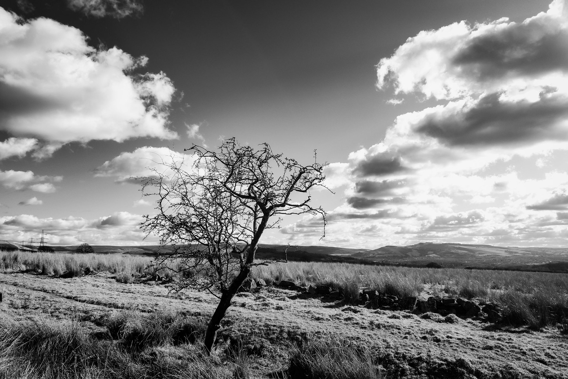 Arnfield Moor