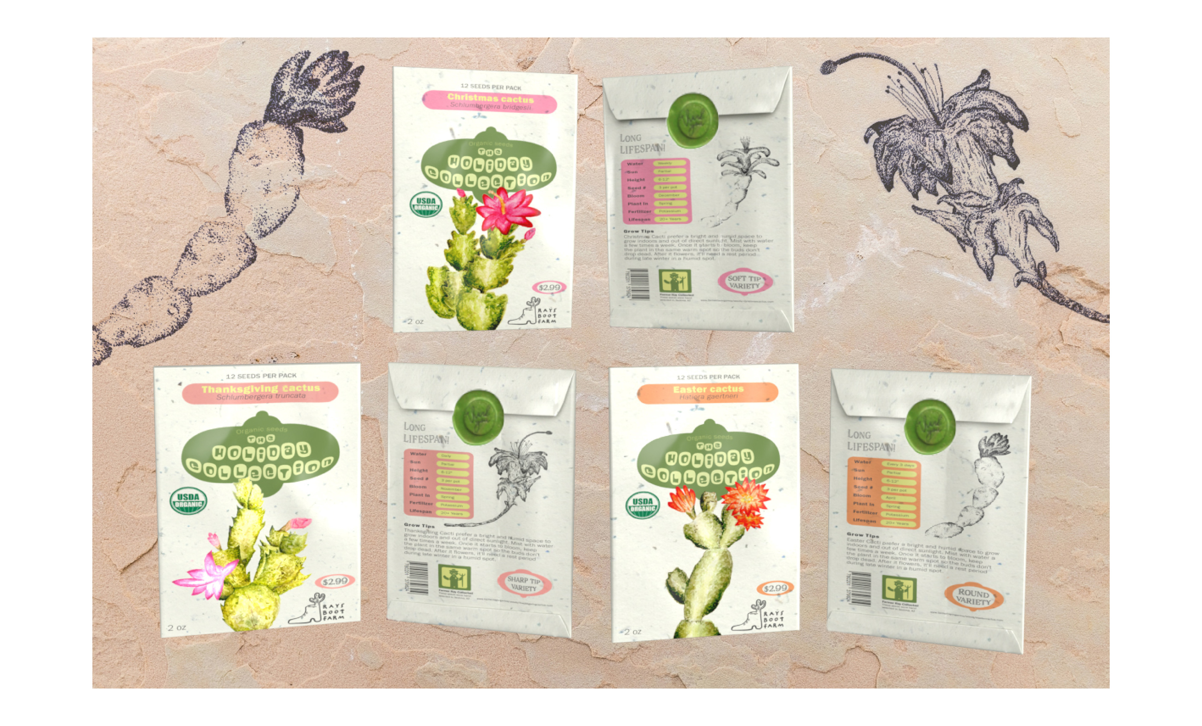 Holiday Seed Packets | Watercolor | Senior Year 2023