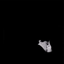 bob moses
