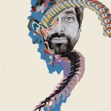 animal collective