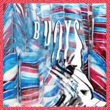 animal collective