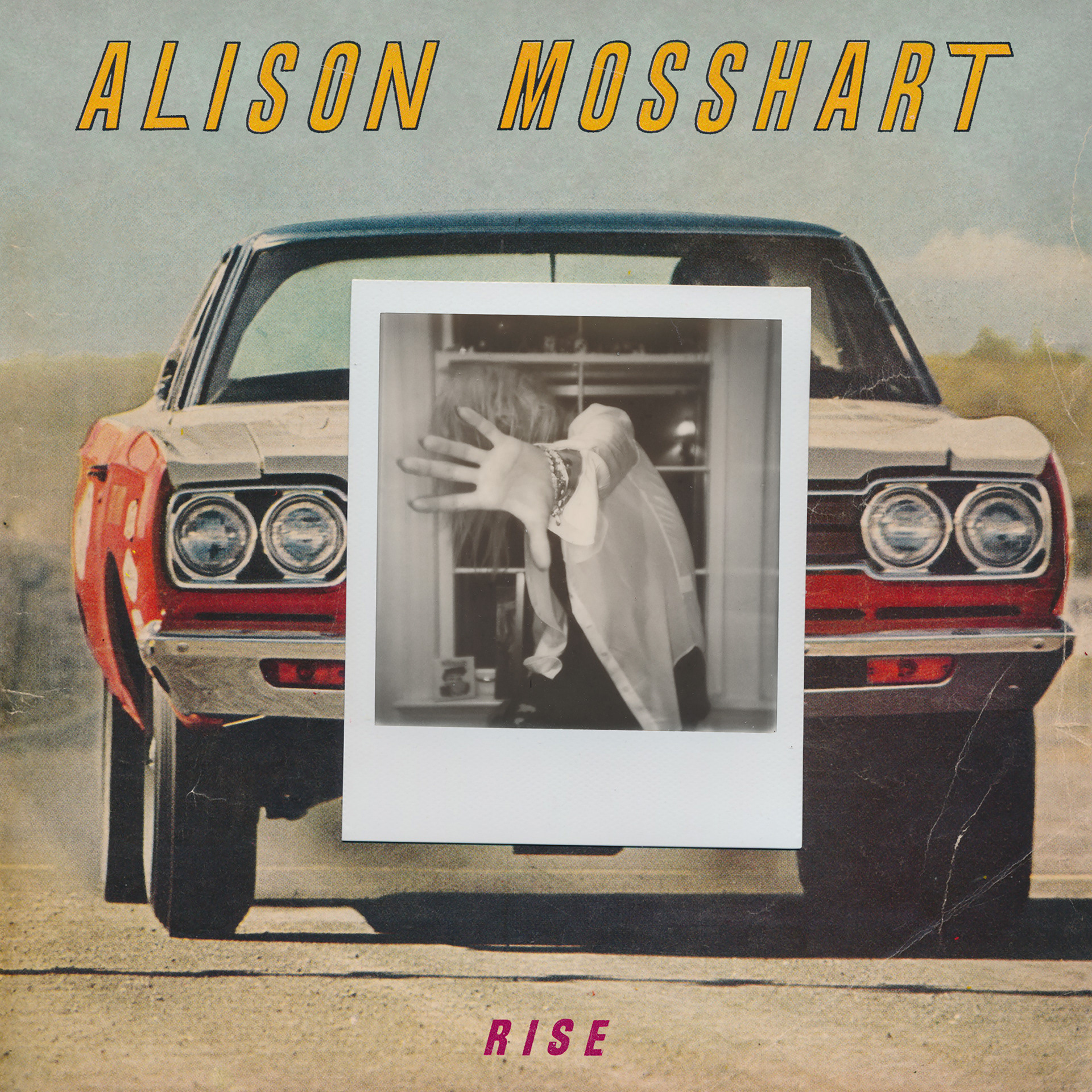 Alison Mosshart