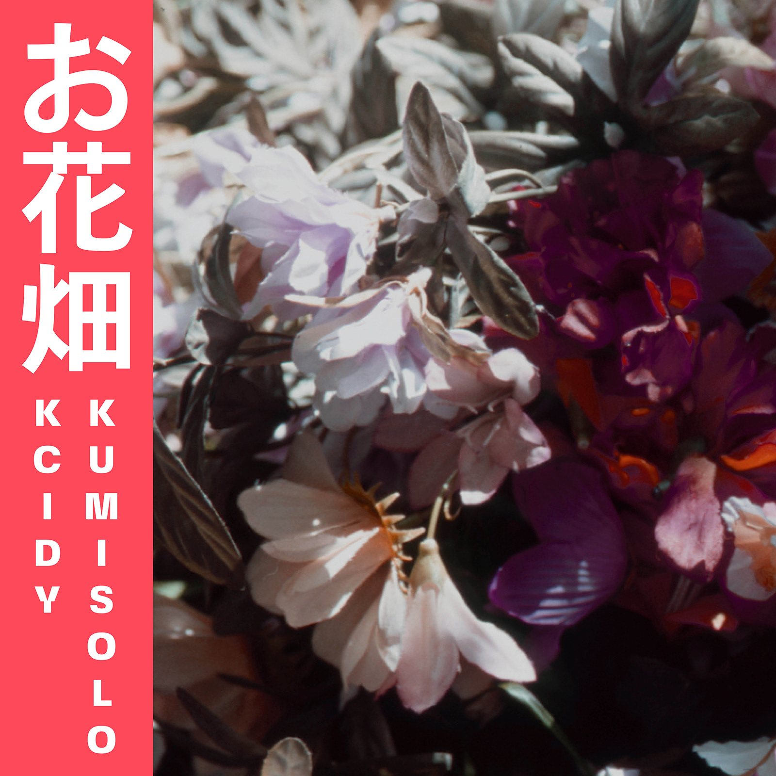 Kcidy & Kumisolo