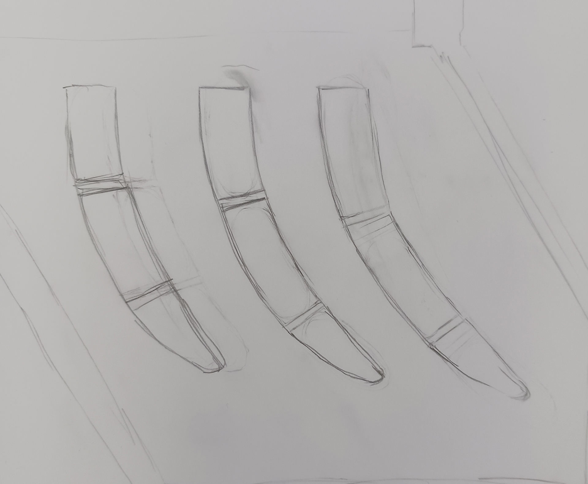 Sketch of Ribs