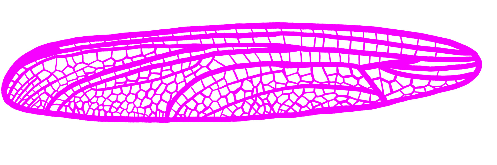 Wing 1
