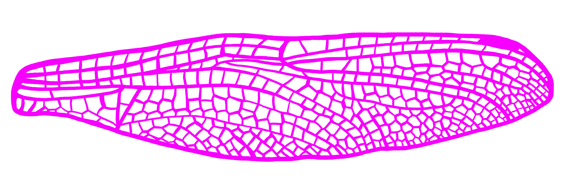 Wing 3