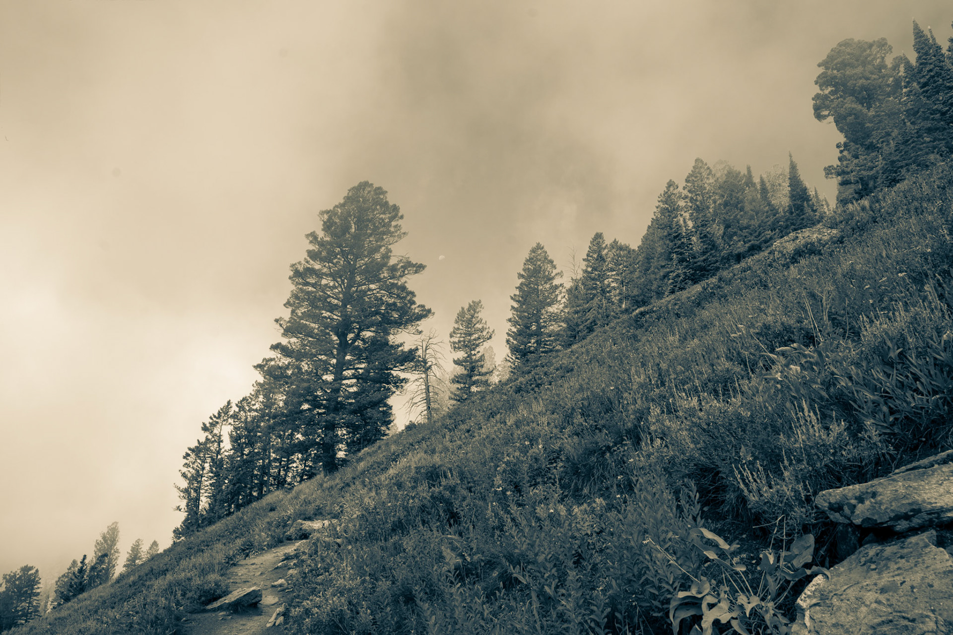 Morning fog lifting off a steep hillside on the Garnet Canyon trail in Grand Teton National Park