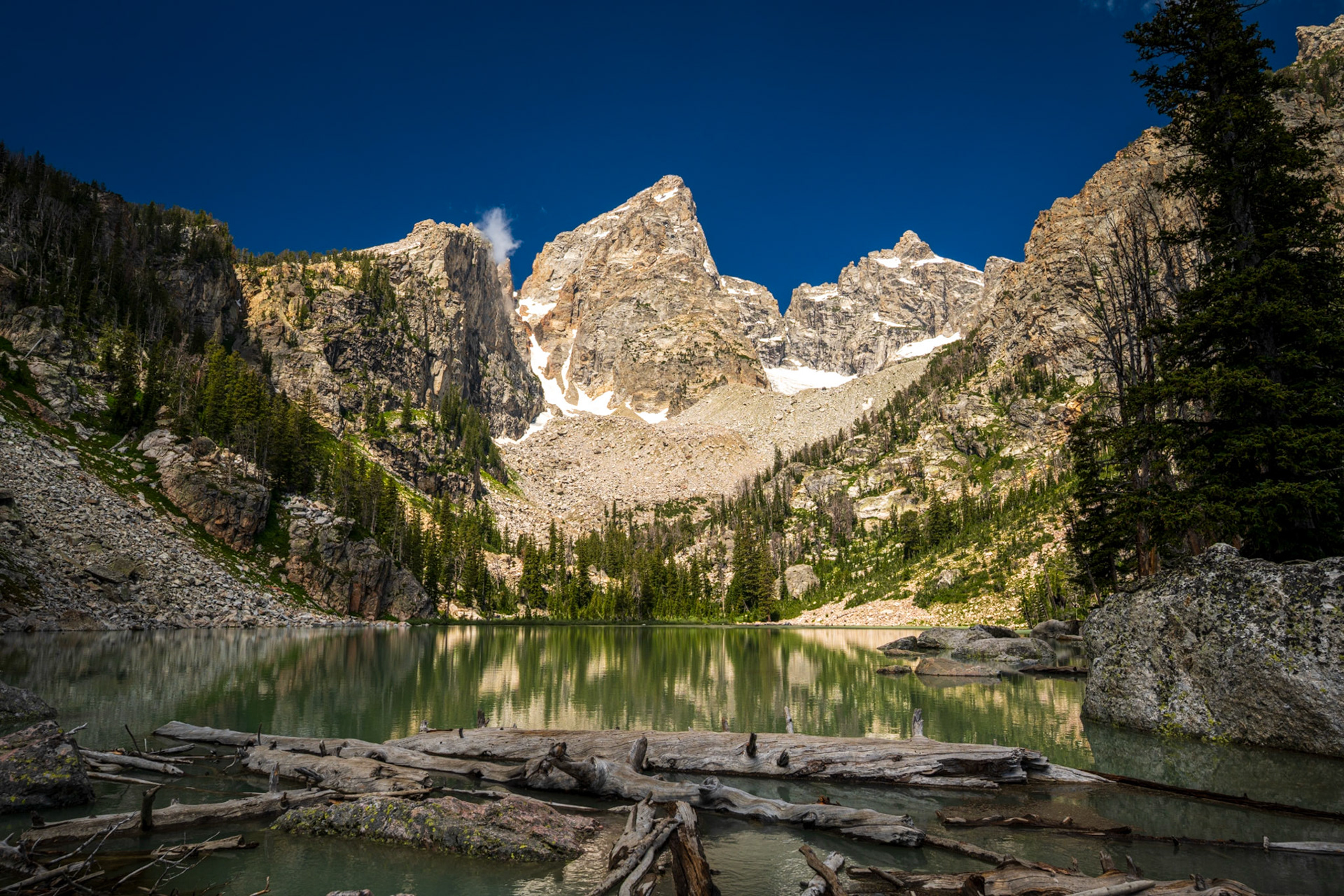 Driftwood logs float in Delta Lake below the peak of Grand Teton. Grand Teton National Park