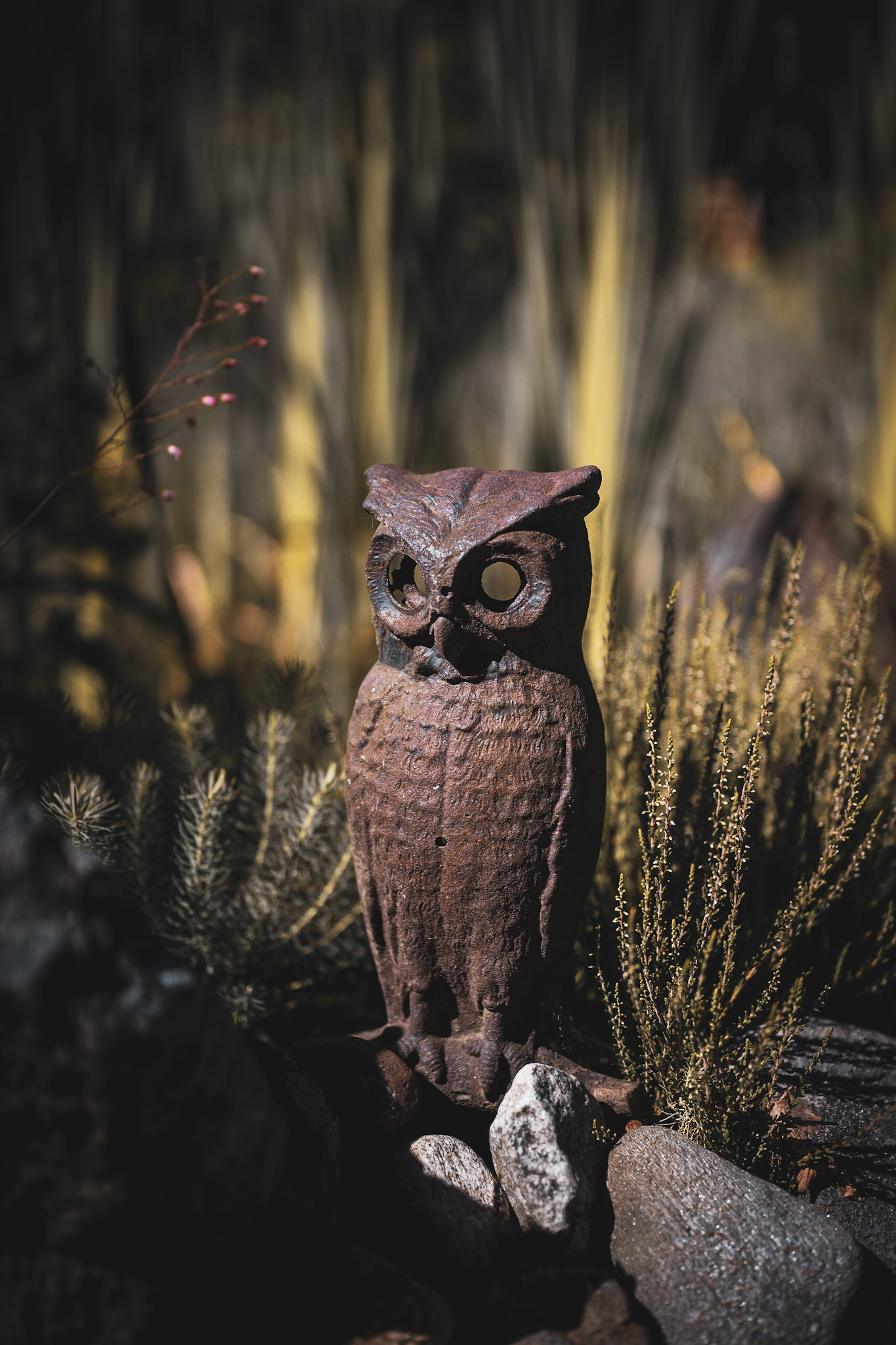 A rusting ornamental cast iron owl stands among some rocks in front of a desert plants.
