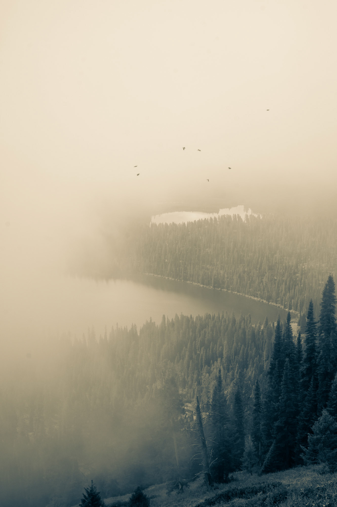 Looking down on Bradley and Taggart lakes, in Grand Teton National Park, from the Garnet Canyon trail through windows in the lifting morning fog.
