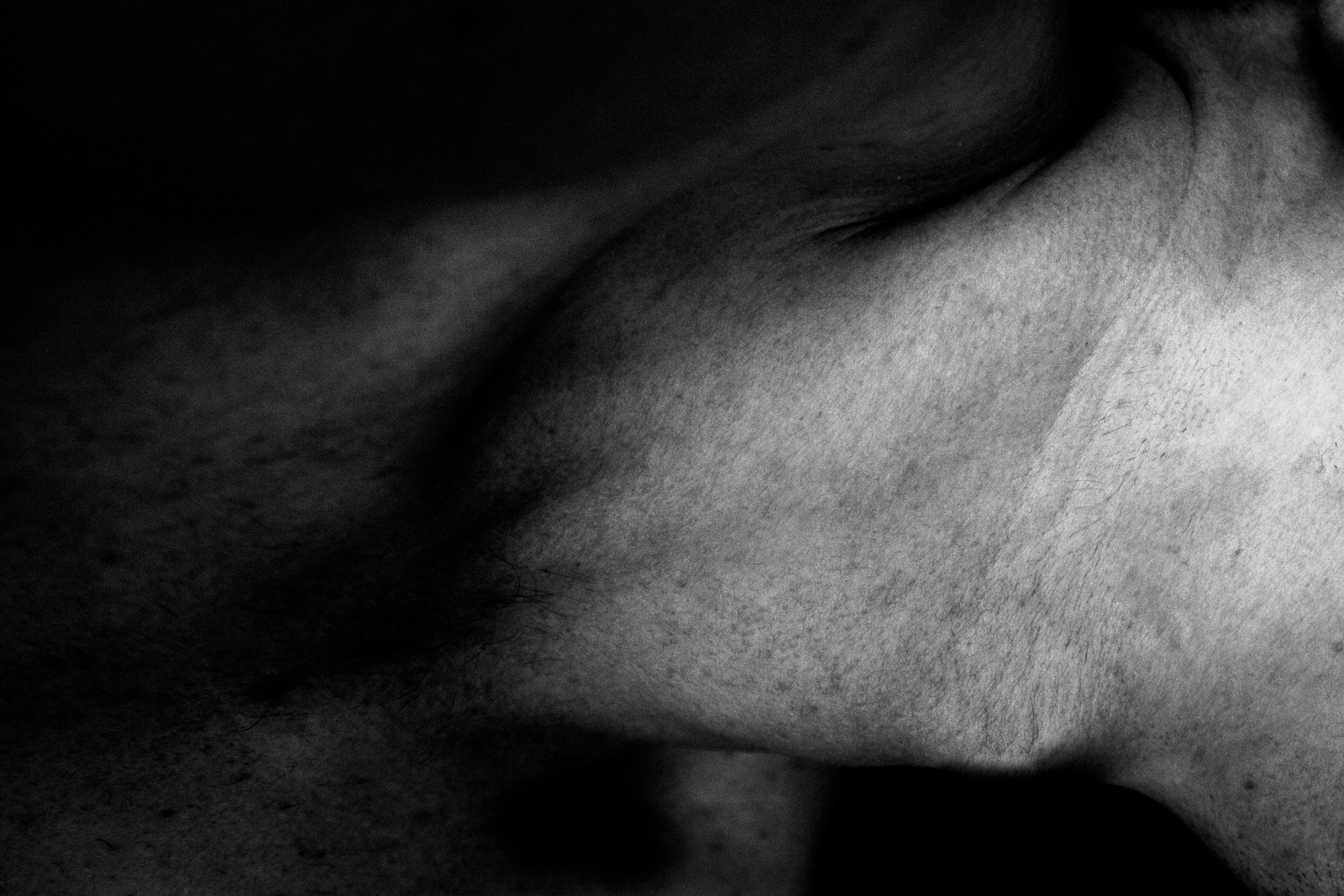 Abstract Nudes