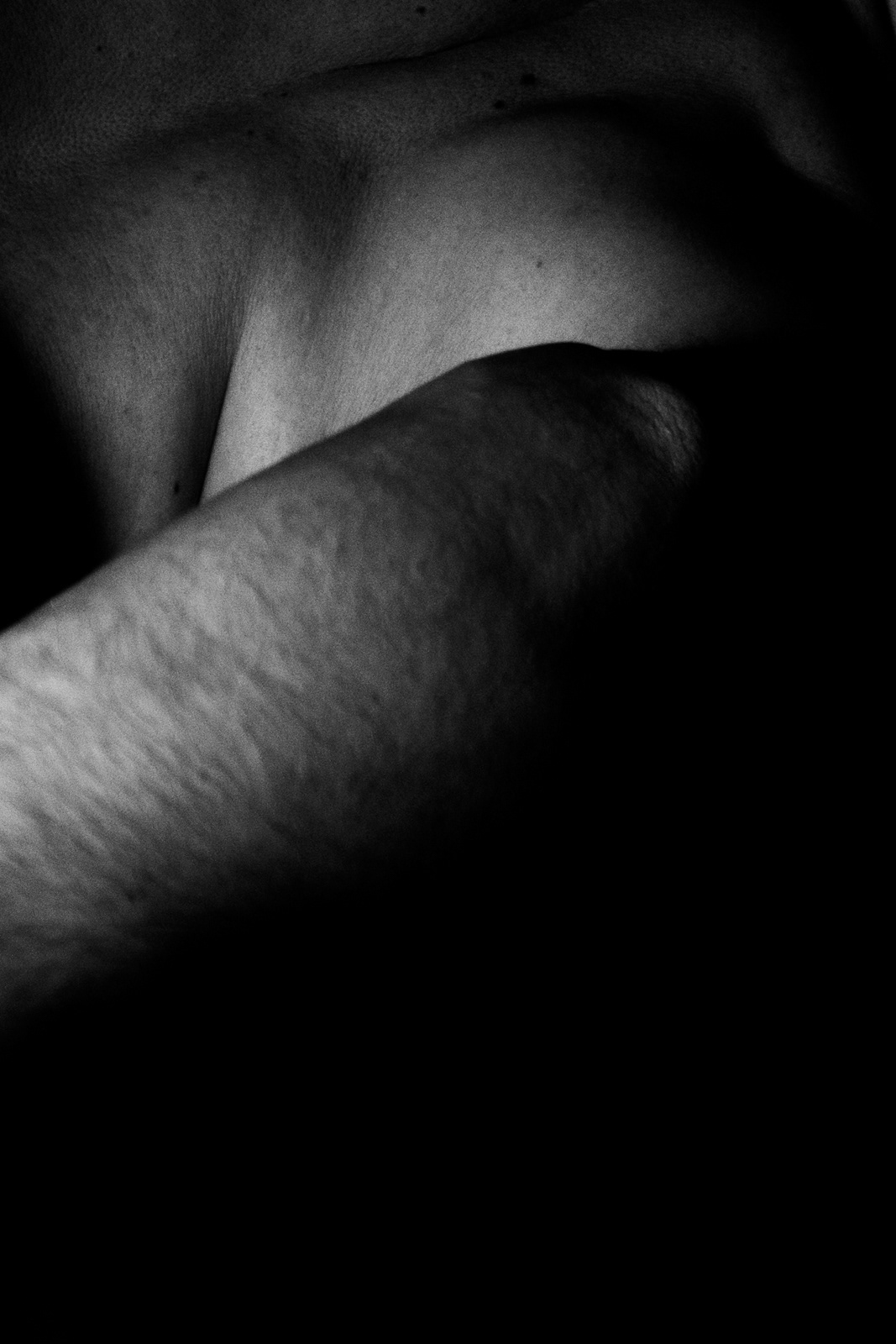 Abstract Nudes