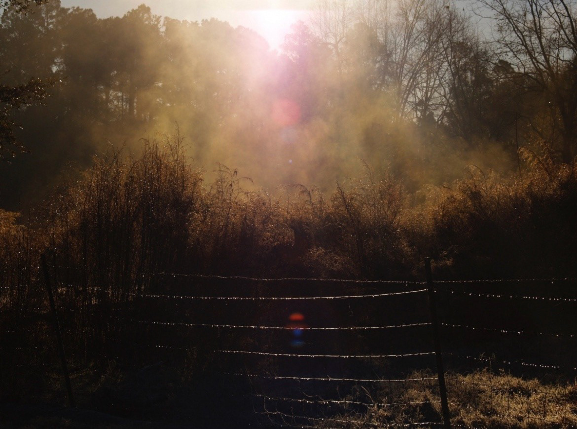 misty