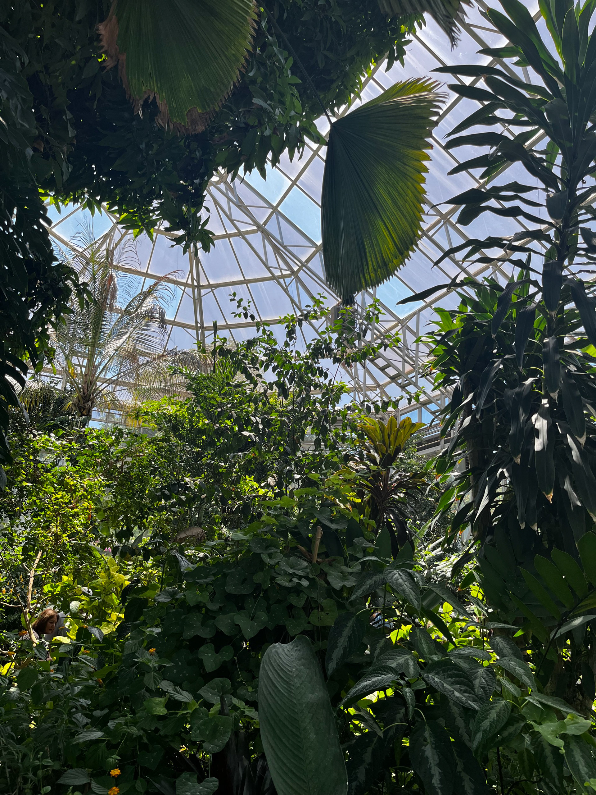 greenhouse