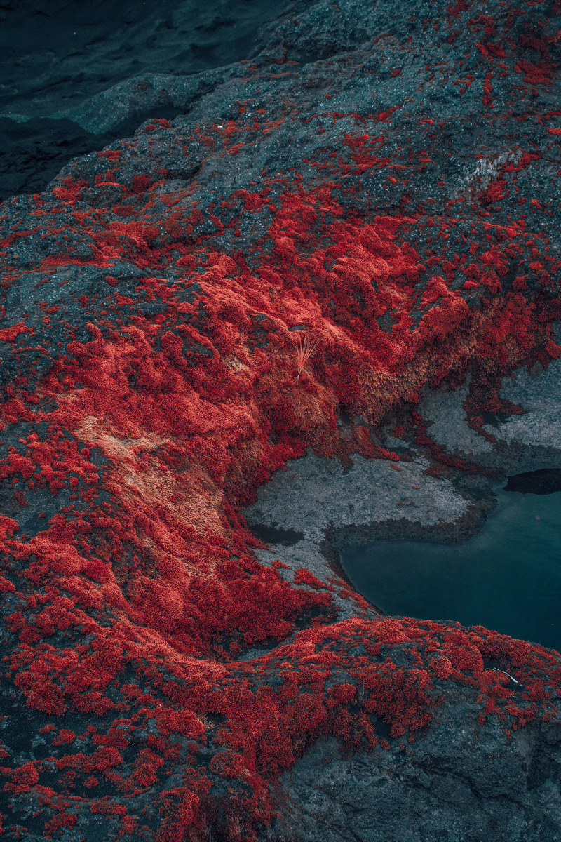 GMUNK - "Infrared vs. Iceland"